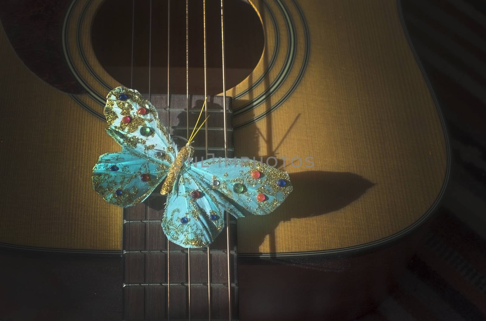 Turquoise butterfly on strings of acoustic guitar, concept for poetry, musicality, singer songwriter creativity.