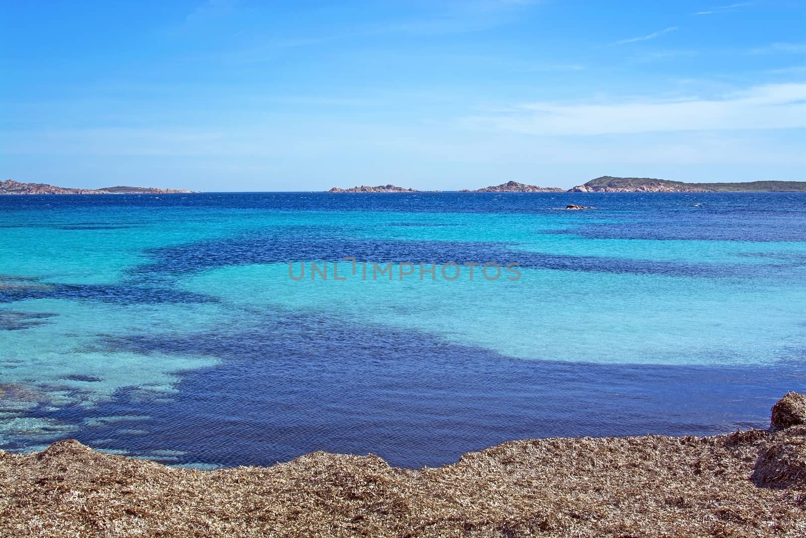 Seascape from a seagrass winter beach and blue and green sea in Costa Smeralda, Sardinia, Italy in March.