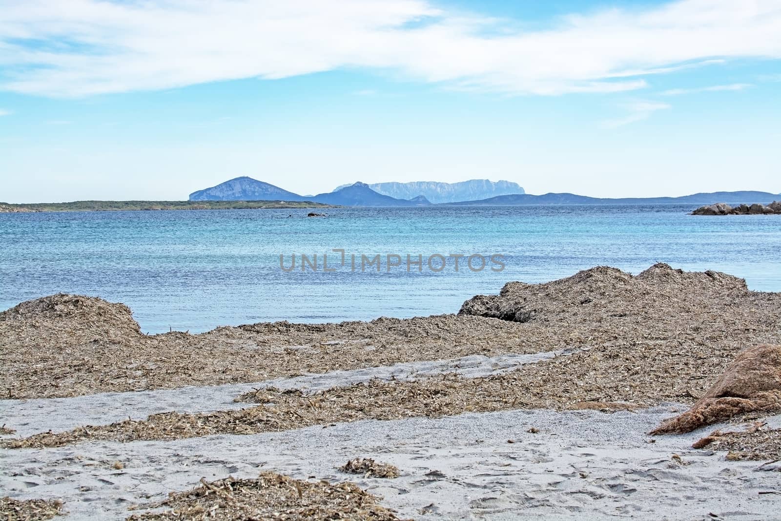 Seagrass on winter beach in Costa Smeralda Sardinia Italy by ArtesiaWells