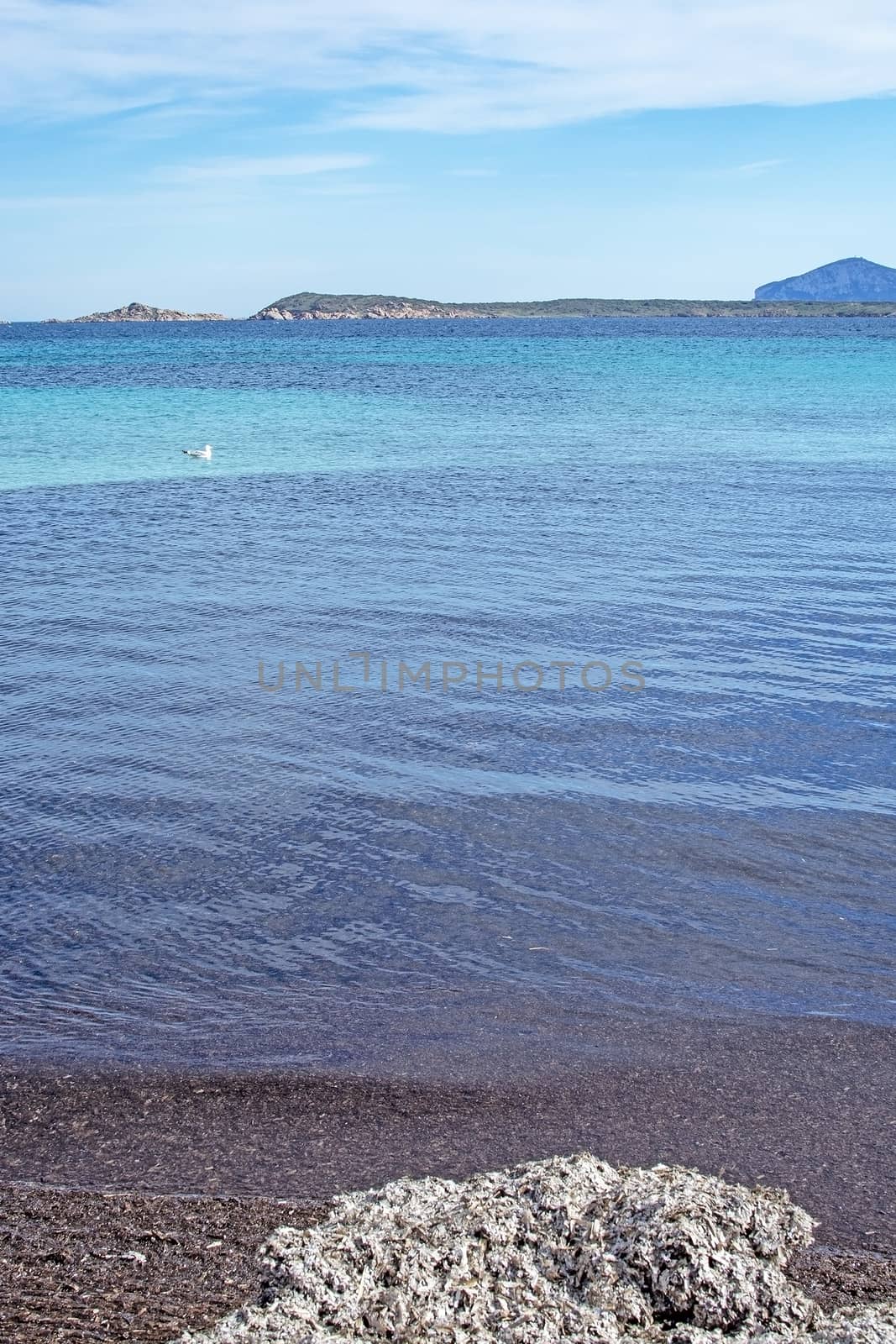 Winter beach in Costa Smeralda Sardinia by ArtesiaWells