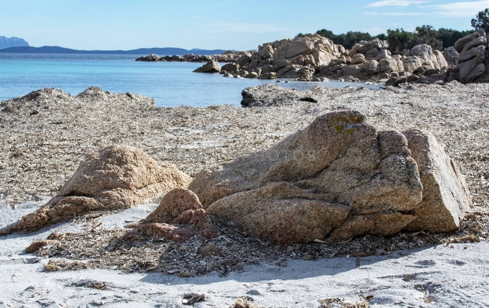 Green water and dry seagrass on a winter beach in Costa Smeralda, Sardinia, Italy in March.