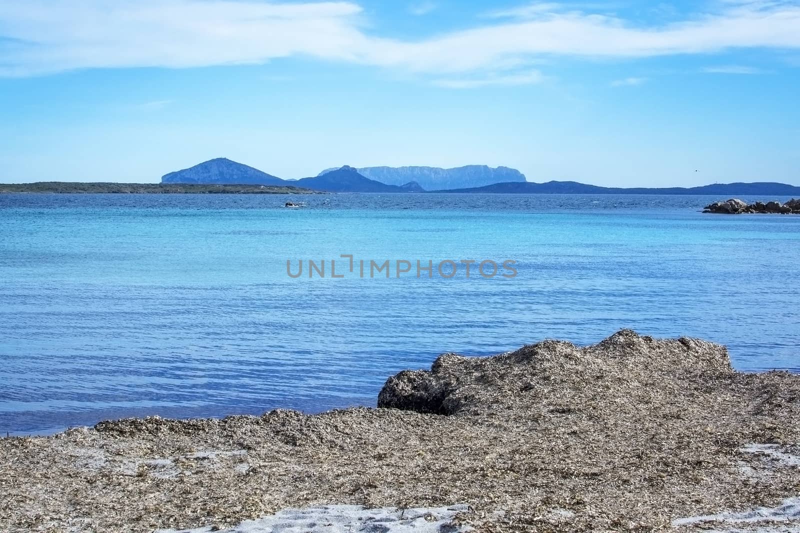 Green water and dry seagrass on a winter beach in Costa Smeralda by ArtesiaWells