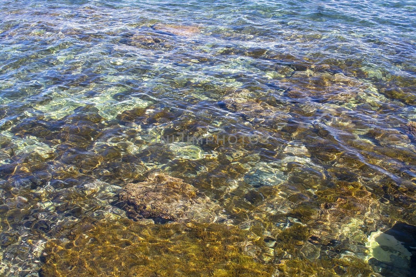 Sea floor with rocks sunlight closeup transparent water, Mallorca, Spain.