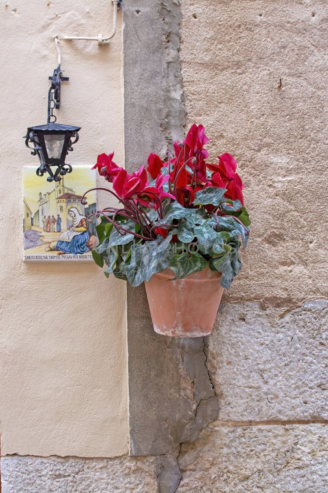 Beautiful terracotta flowerpot with red cyclamen flowers and Santa Catalina Thomas ceramic plate and black iron lamp on stone wall in Valldemossa Mallorca.