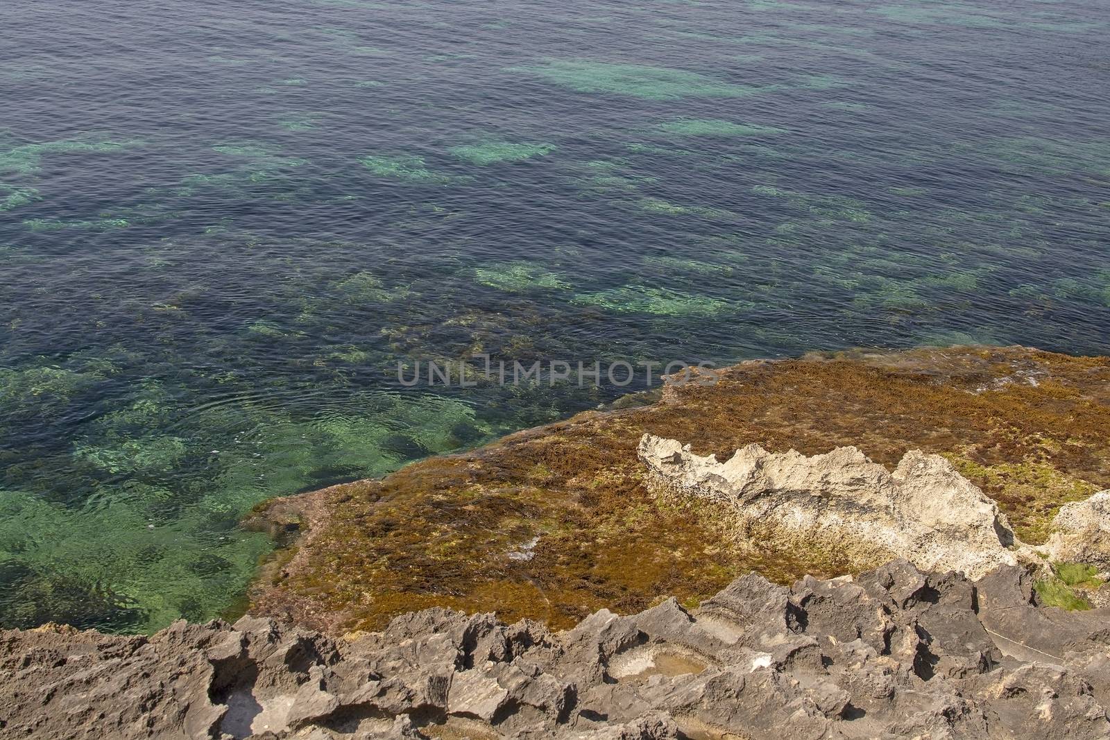 Clear transparent green water and limestone rocks closeup by ArtesiaWells