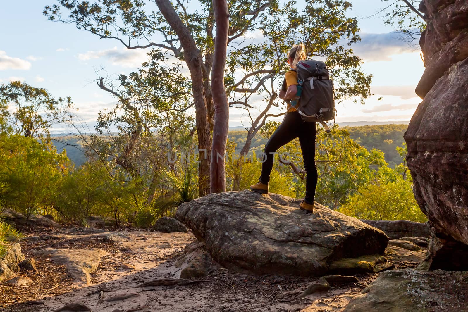 Female bushwalker with backpack walking in Australian bushland by lovleah