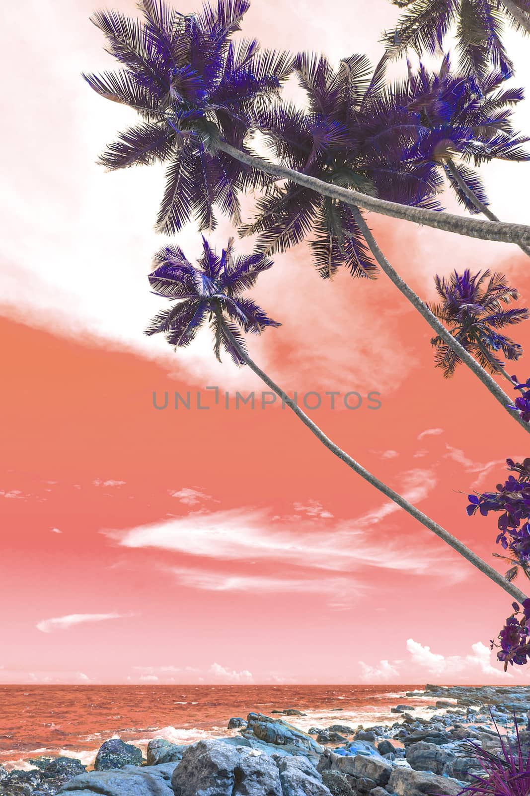 Vertical image of palm tree foliage closeup against Living Coral sky background