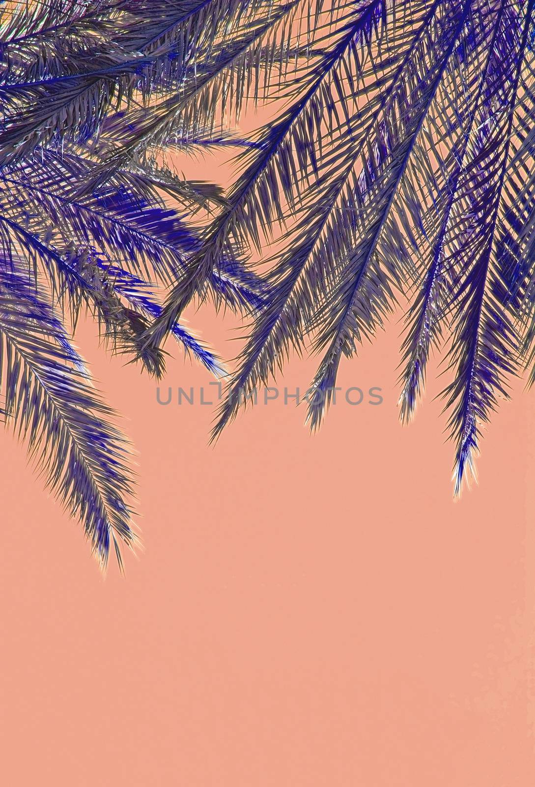 Palm tree leaves on top on color Living Coral by ArtesiaWells