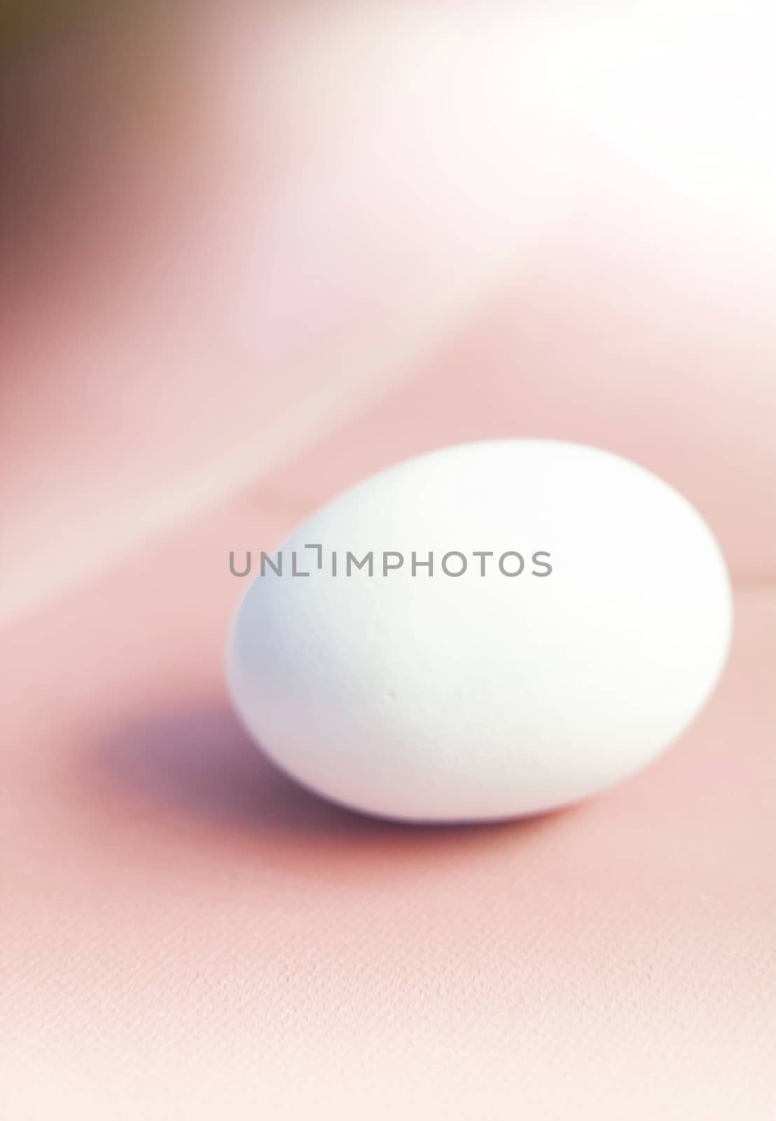 Soft white dreamy egg abstract toned in Living Coral  by ArtesiaWells