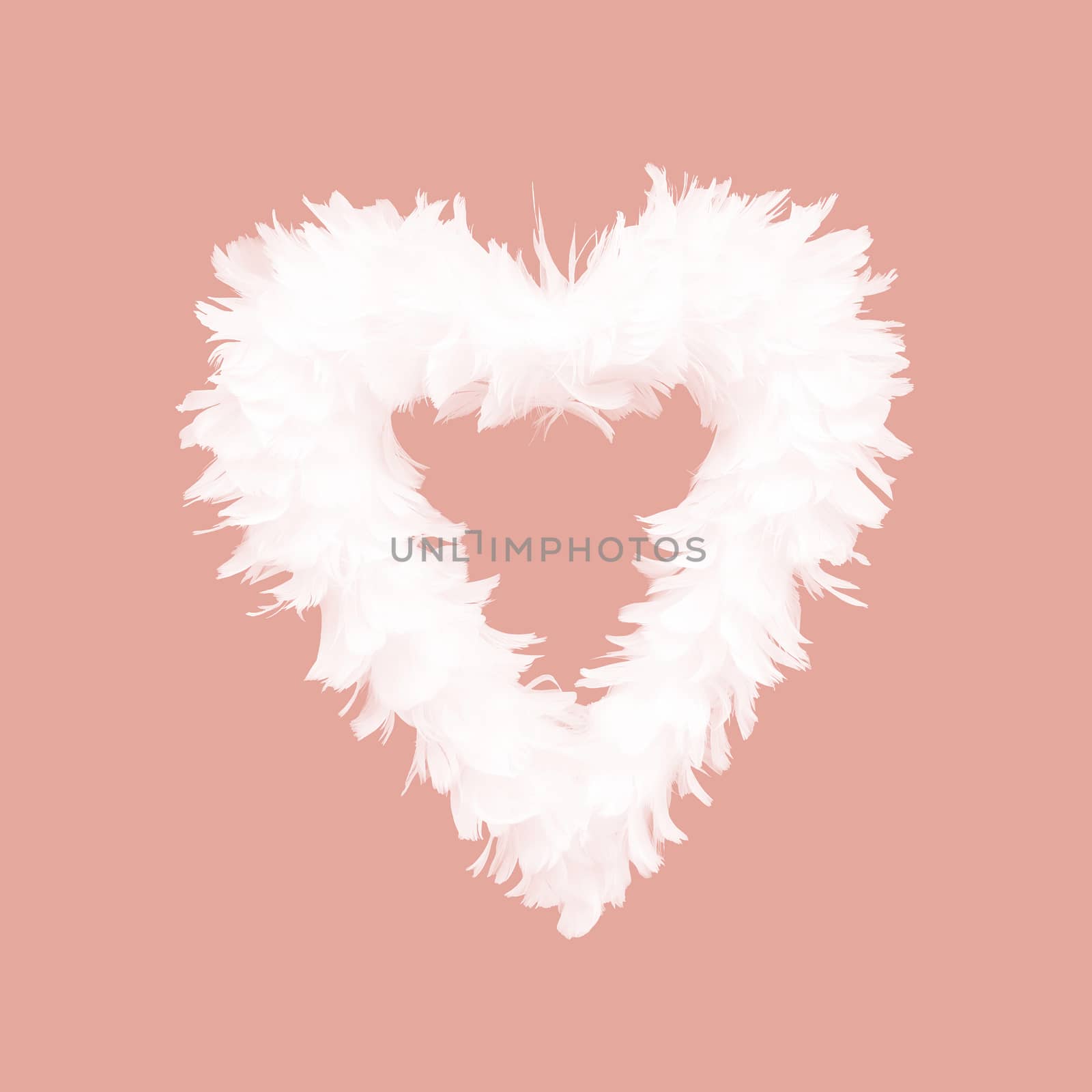 White feathers arranged in heart shape on Living Coral color background.
