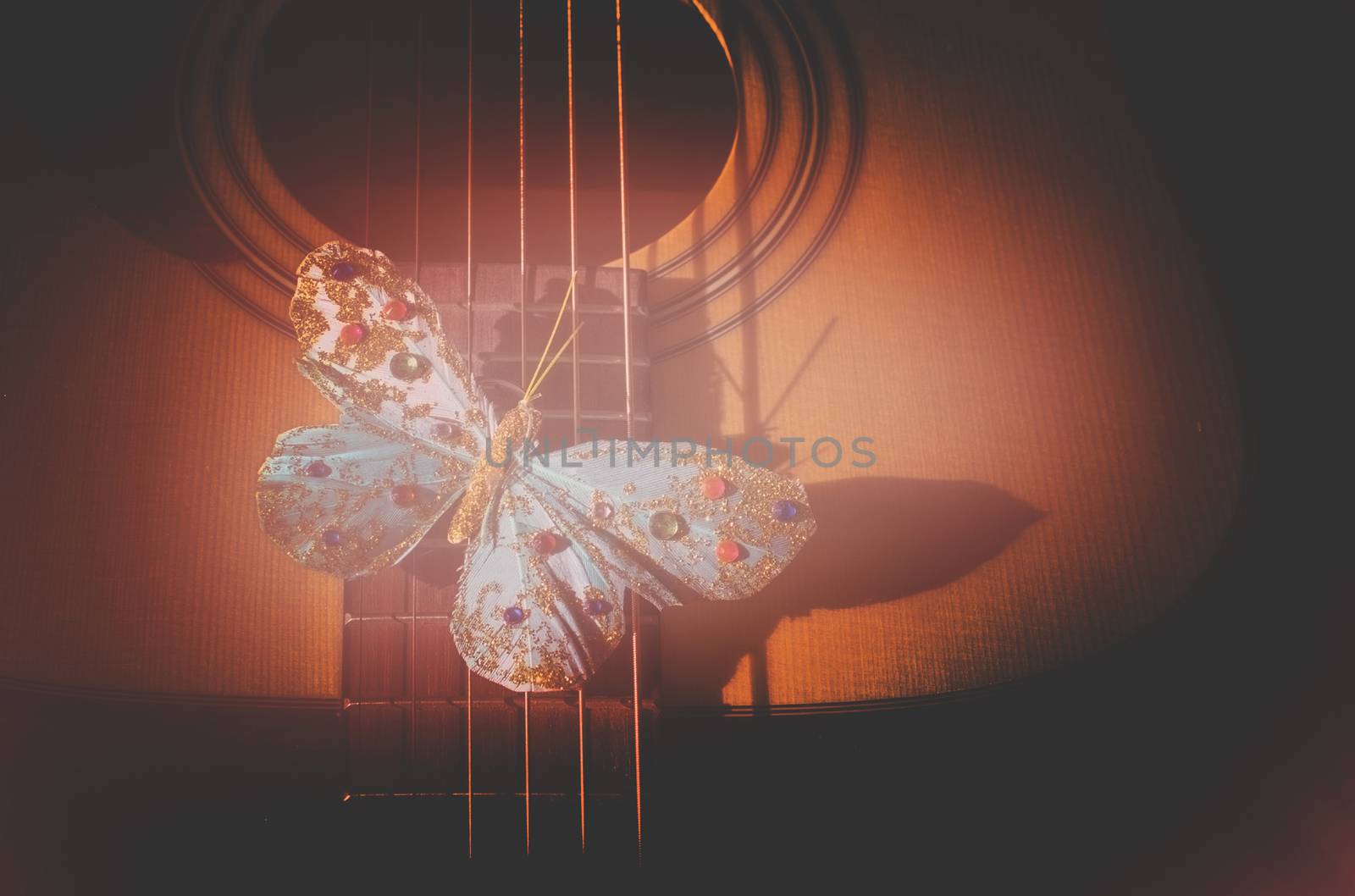 Turquoise butterfly on strings of acoustic guitar in Living Cora by ArtesiaWells