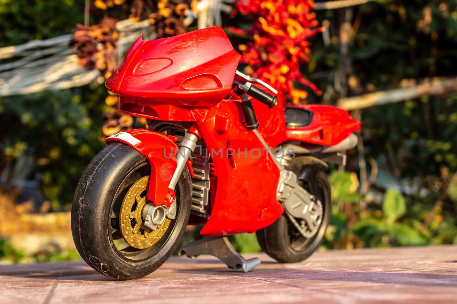 a isolated closeup red toy motorcycle with warm colors- front view. photo has taken from a garden.