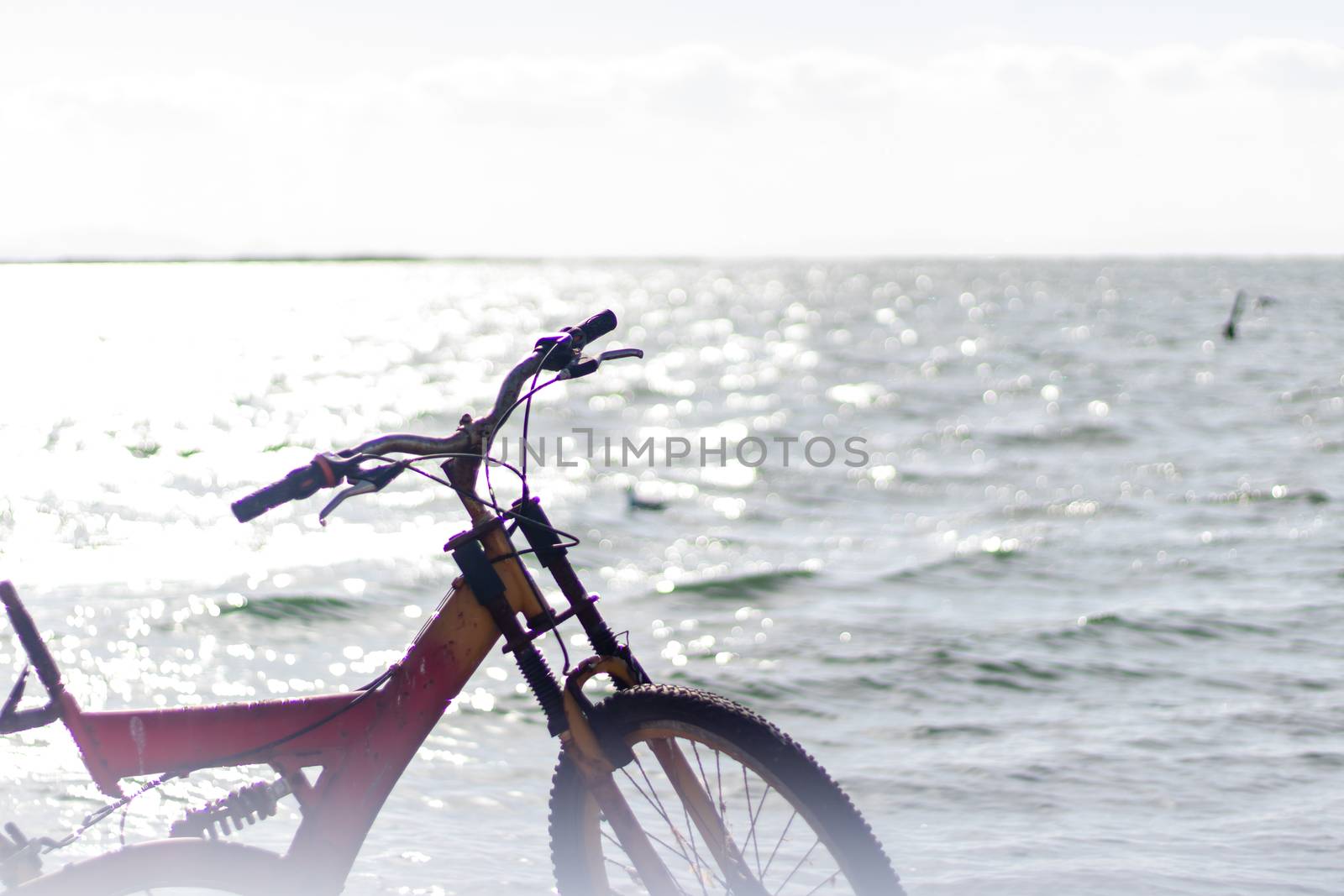 a misty landscape shoot with bright colors and a red bicycle  by Swonie