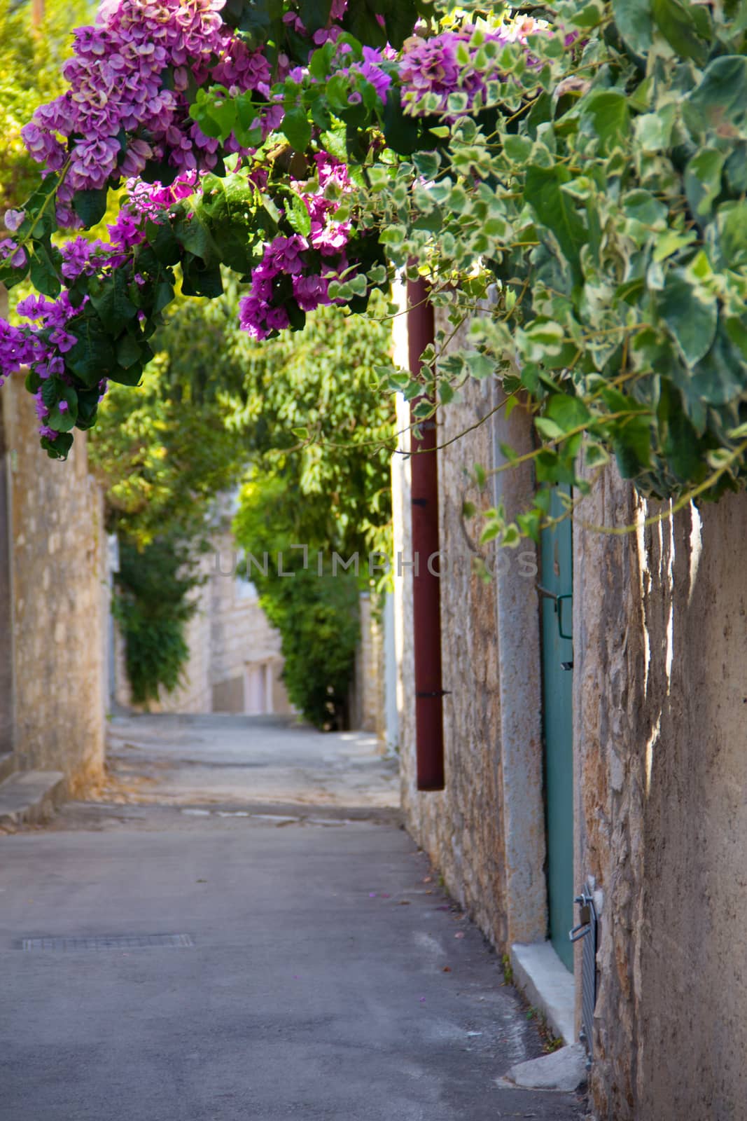 Old street with flowers in Supetar town in Brac island, Croatia.