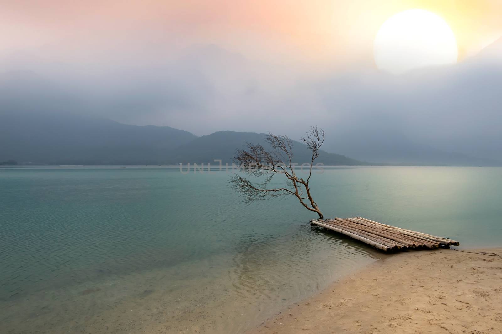 Tree and bamboo raft with the calm sea reflects the clear sky like a mirror with pastel color background