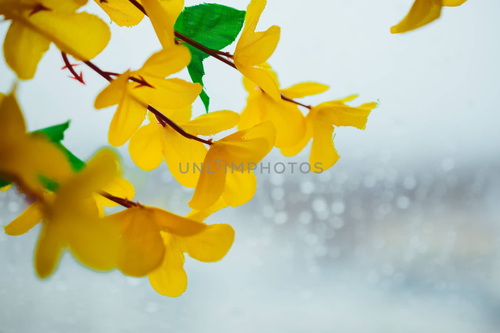 flowers made of artificial materials yellow, acacia flowers