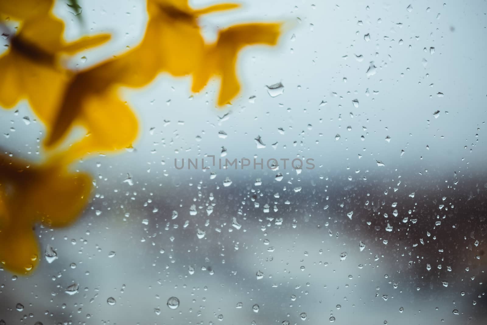 flowers made of artificial materials yellow, acacia flowers