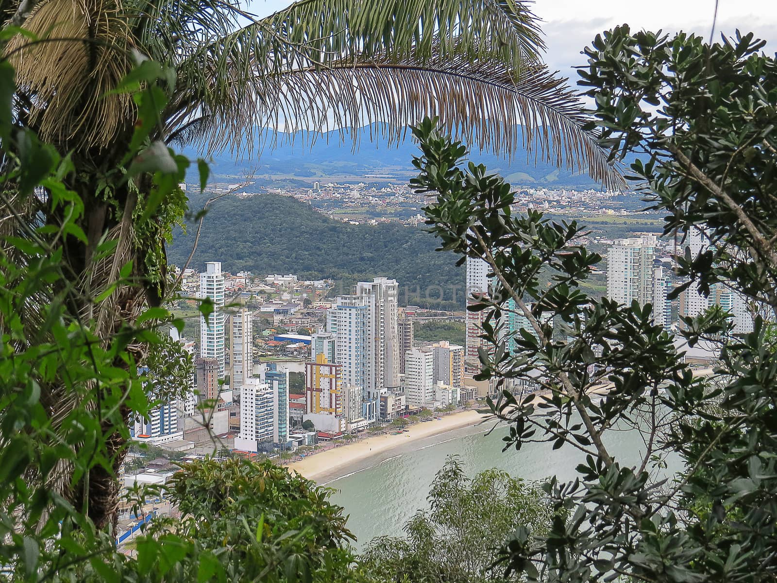 View of city by the sea with buildings in the background and with trees in the foreground on sunny day