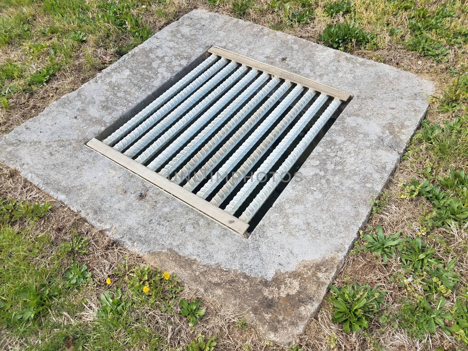 cement and metal grate or bars with drain and green grass or lawn