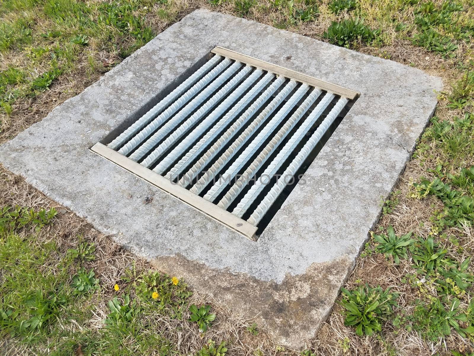 cement and metal grate or bars with drain and green grass or lawn