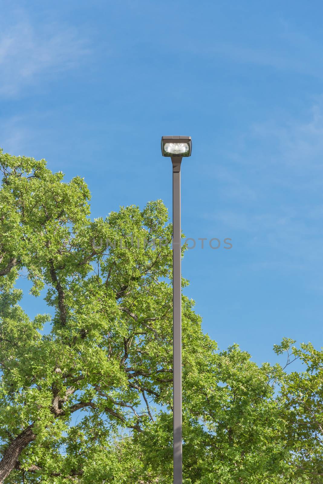 Bright street lamppost at daytime for wasting electricity concept by trongnguyen