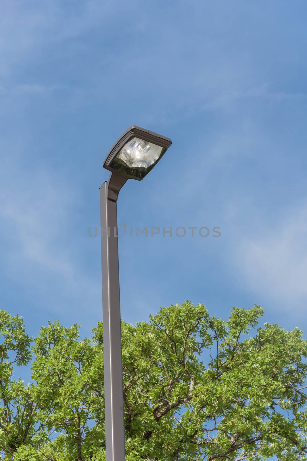 Street lamppost with bright lighting at daytime for wasting electricity concept by trongnguyen