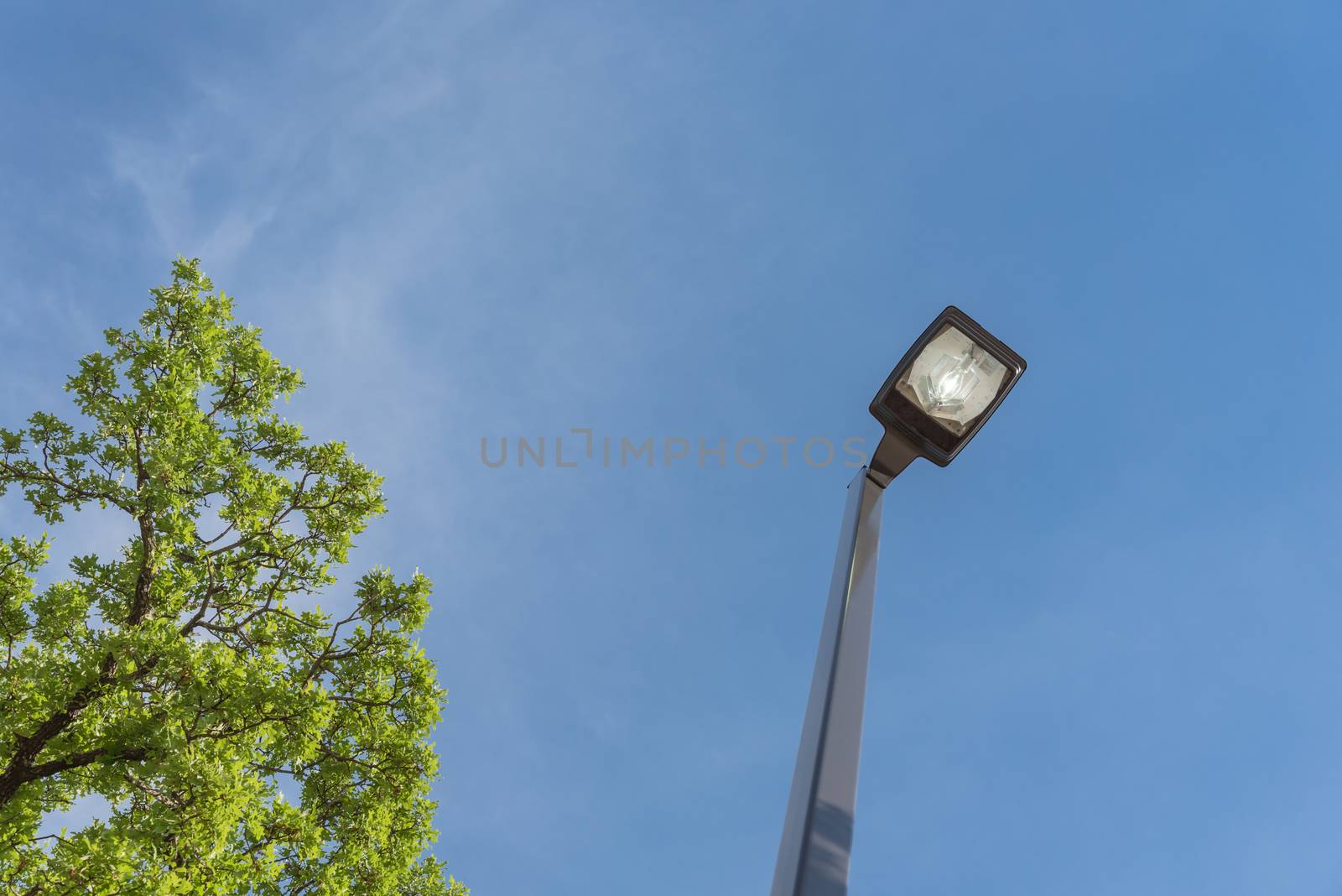 Look-up view of street lighting near tree with light comes on during the daytime. Concept for waste of electricity. Light pole supports for ceilings with led lamps under cloud blue sky