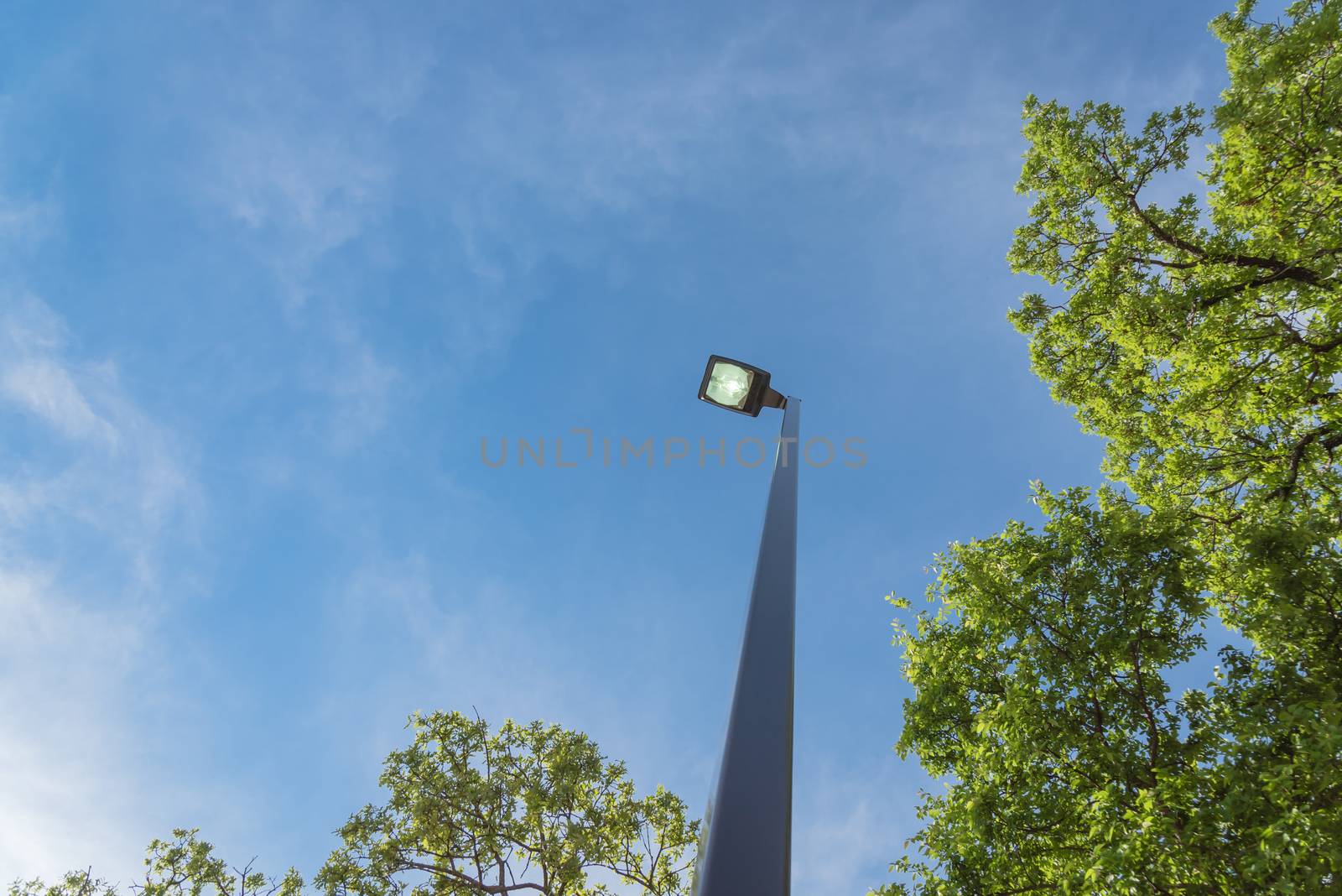 Look-up view of street lighting near tree with light comes on during the daytime. Concept for waste of electricity. Light pole supports for ceilings with led lamps under cloud blue sky