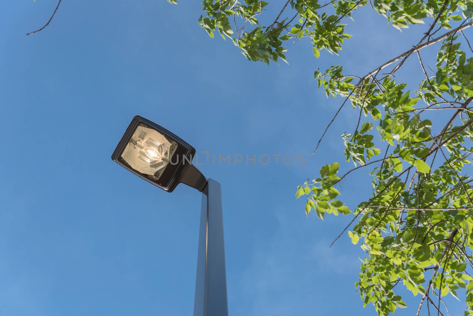 Close-up look-up view of street lighting with light comes on during the daytime. Concept for waste of electricity. Light pole supports for ceilings with led lamps under cloud blue sky