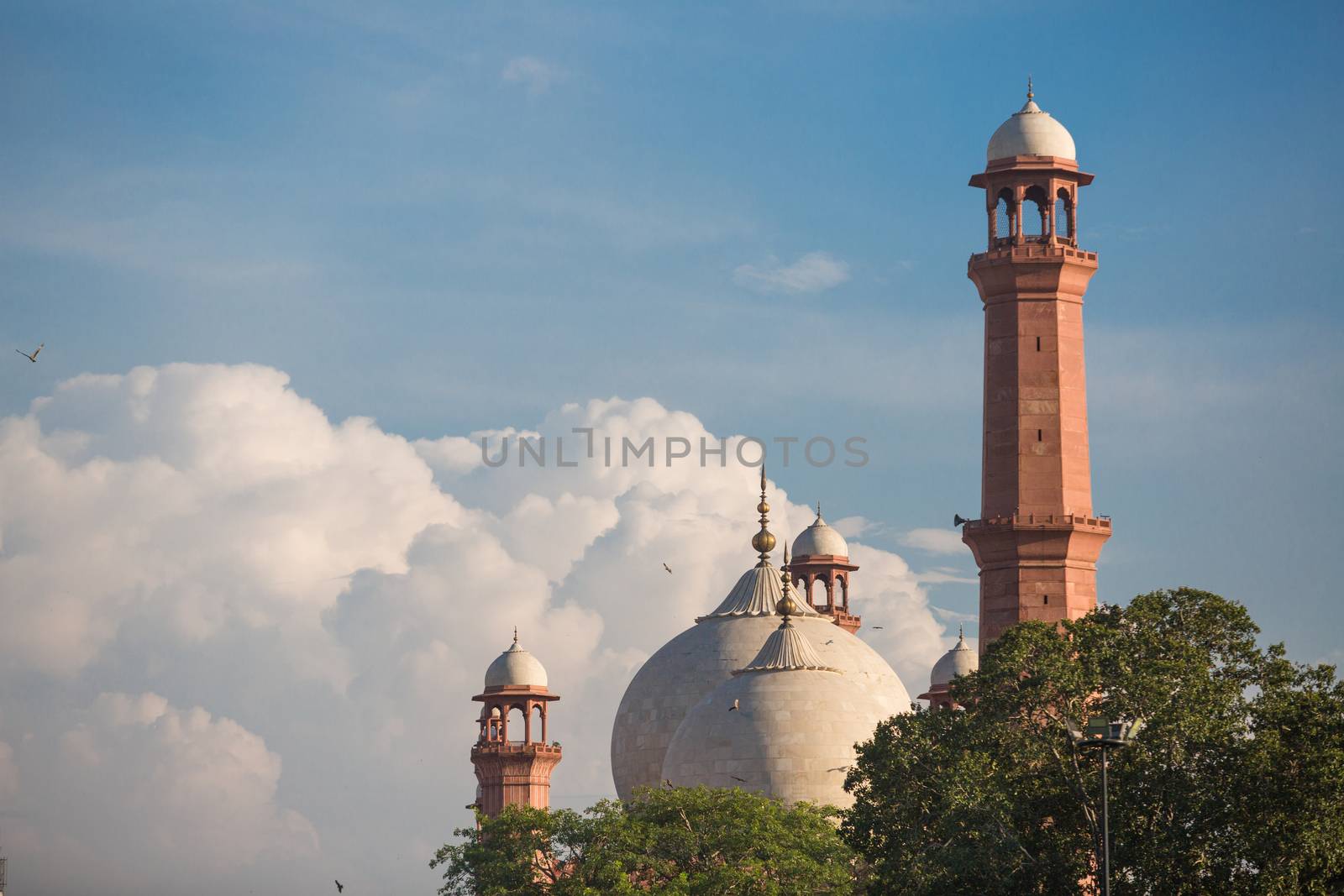 The Emperor's Mosque - Badshahi Masjid in Lahore, Pakistan Dome  by haiderazim