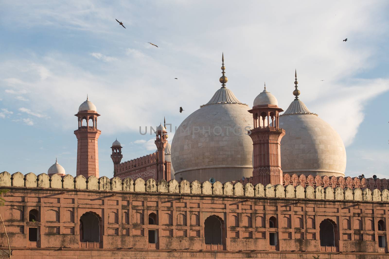 The Emperor's Mosque - Badshahi Masjid in Lahore, Pakistan Dome  by haiderazim