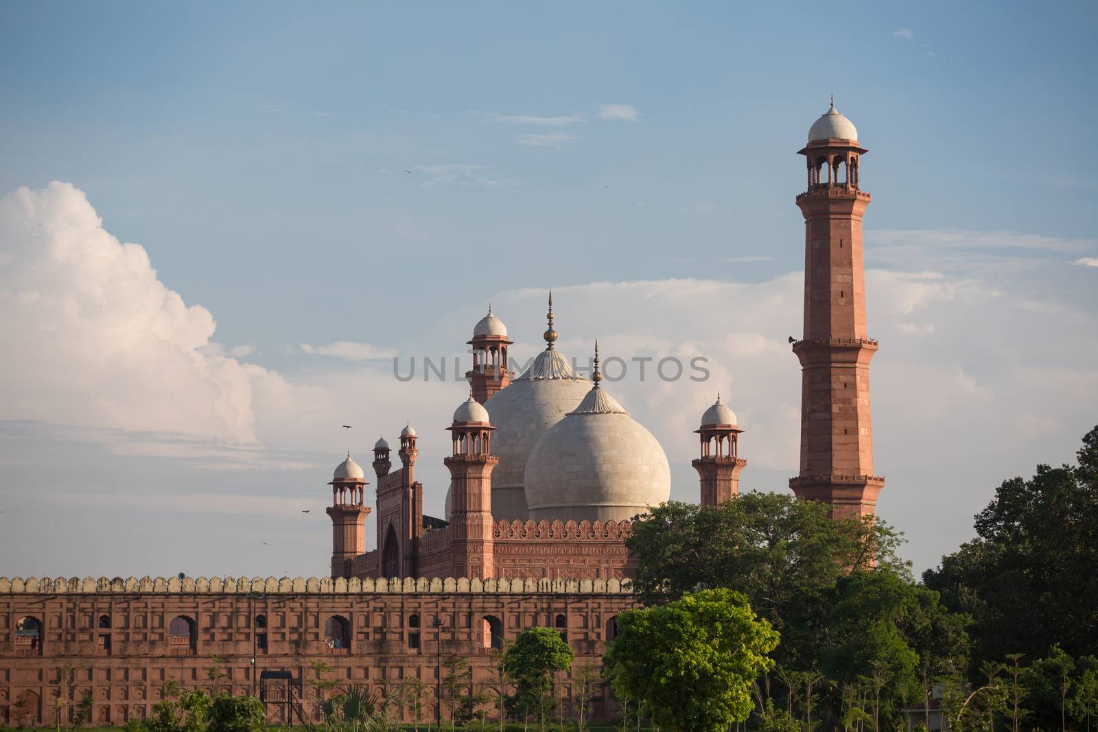 The Emperor's Mosque - Badshahi Masjid in Lahore, Pakistan Dome  by haiderazim