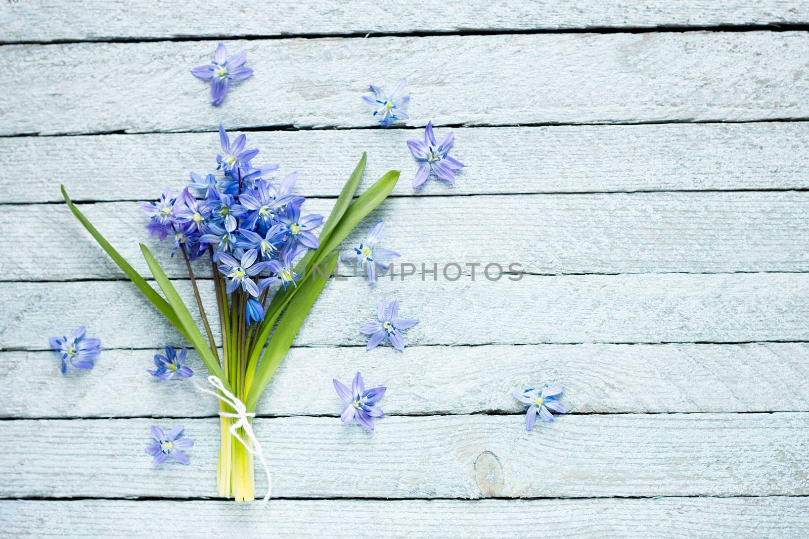 A bouquet of blue flowers on a wooden background, spring flowers on a light wooden background, a bouquet of flowers for the spring holidays
