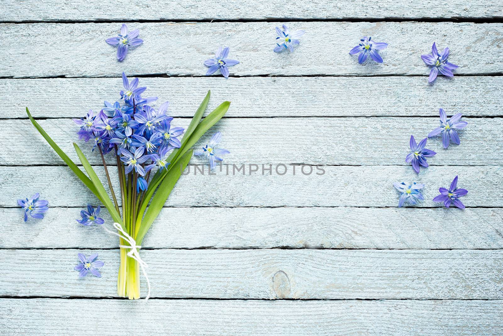 A bouquet of blue flowers on a wooden background, spring flowers on a light wooden background, a bouquet of flowers for the spring holidays