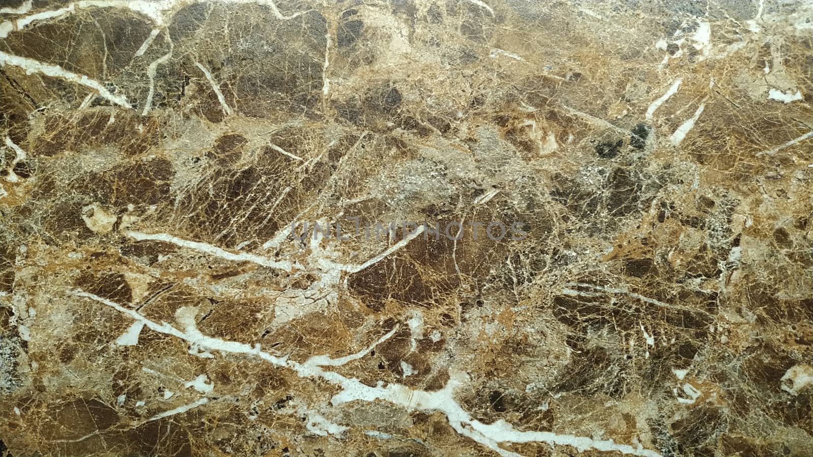 Fragment of a slab of natural stone brown marble with white veins recalling the texture of a natural pattern