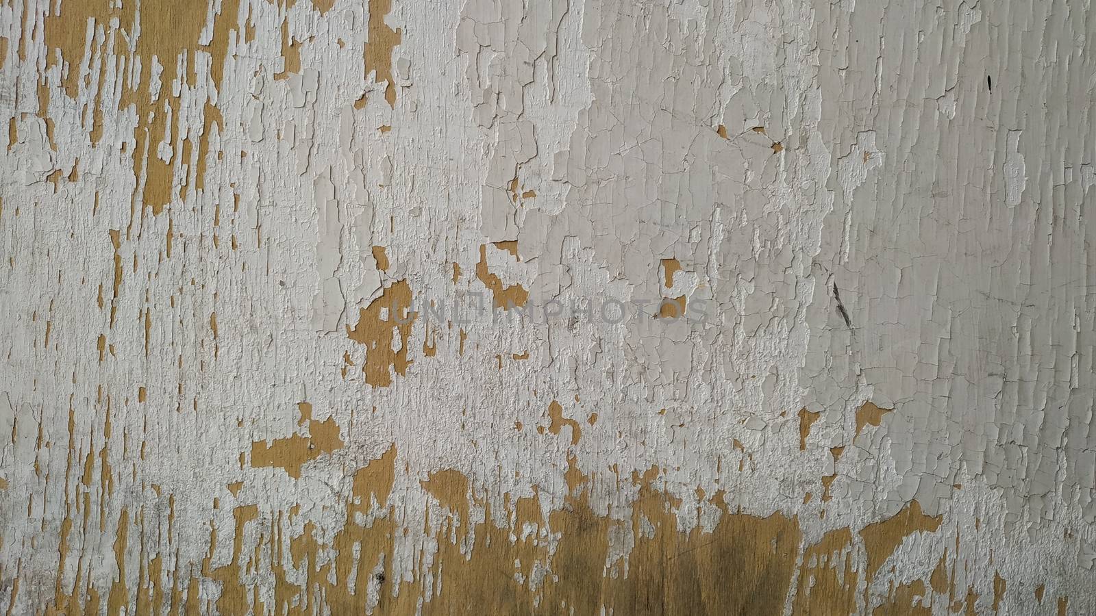 Wood panel with peeling white paint. Background, texture