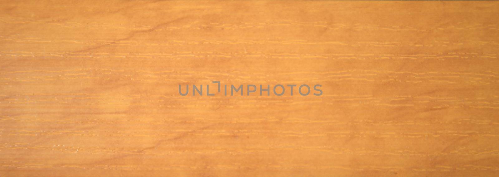 Natural wood sawed close-up. Background. Texture. Closr up shot