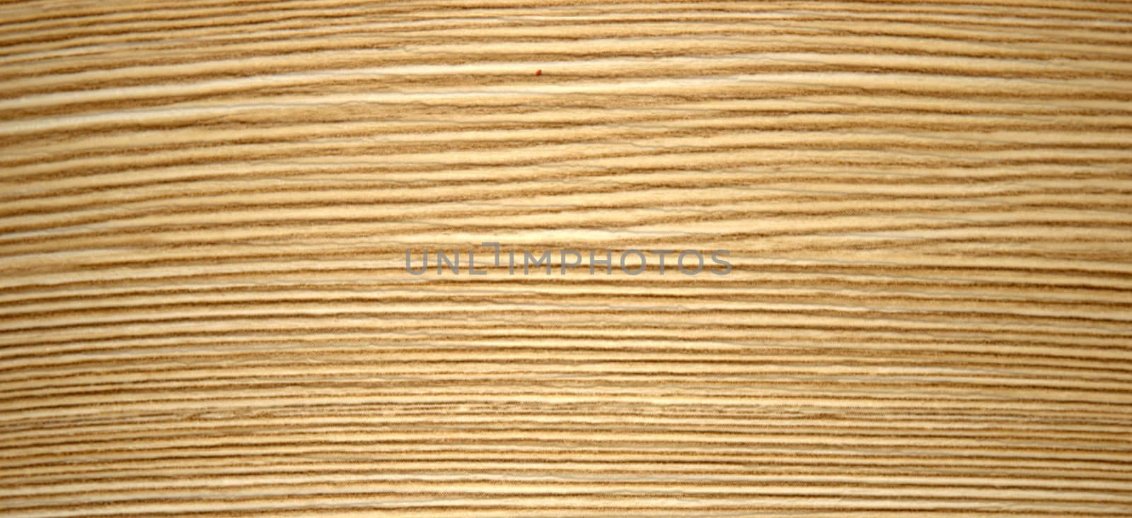 Light wood. Texture, background natural pattern Close-up