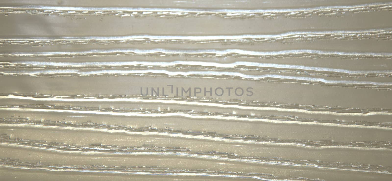 Light wood. Texture, background natural pattern Close-up