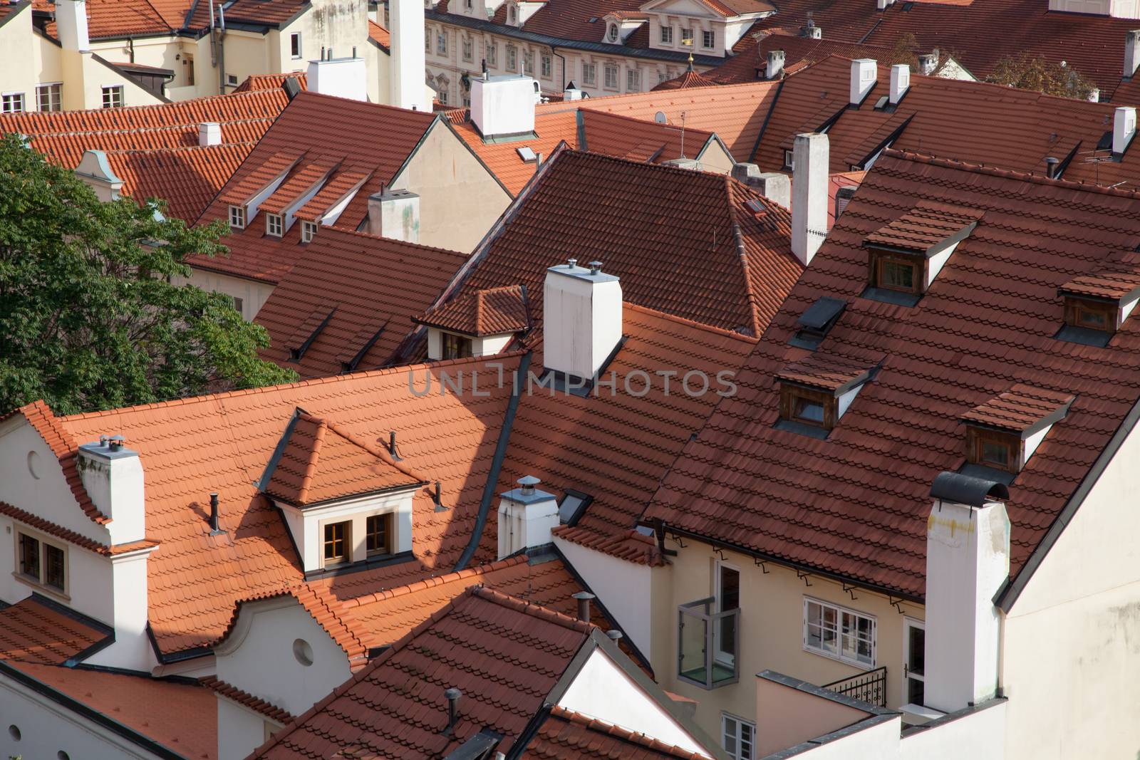 European houses roof tops