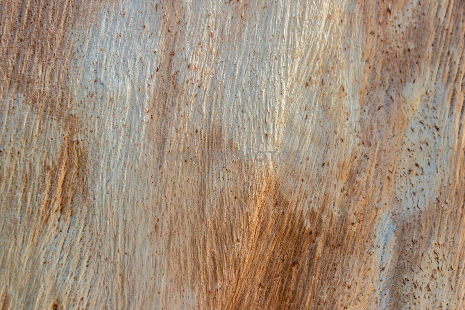 scratched wood surface texture. multi colored and old texture.