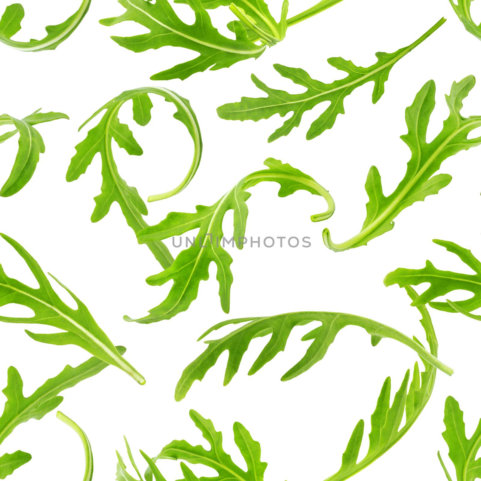 Rucola seamless pattern. Arugula leaves isolated on white background by xamtiw