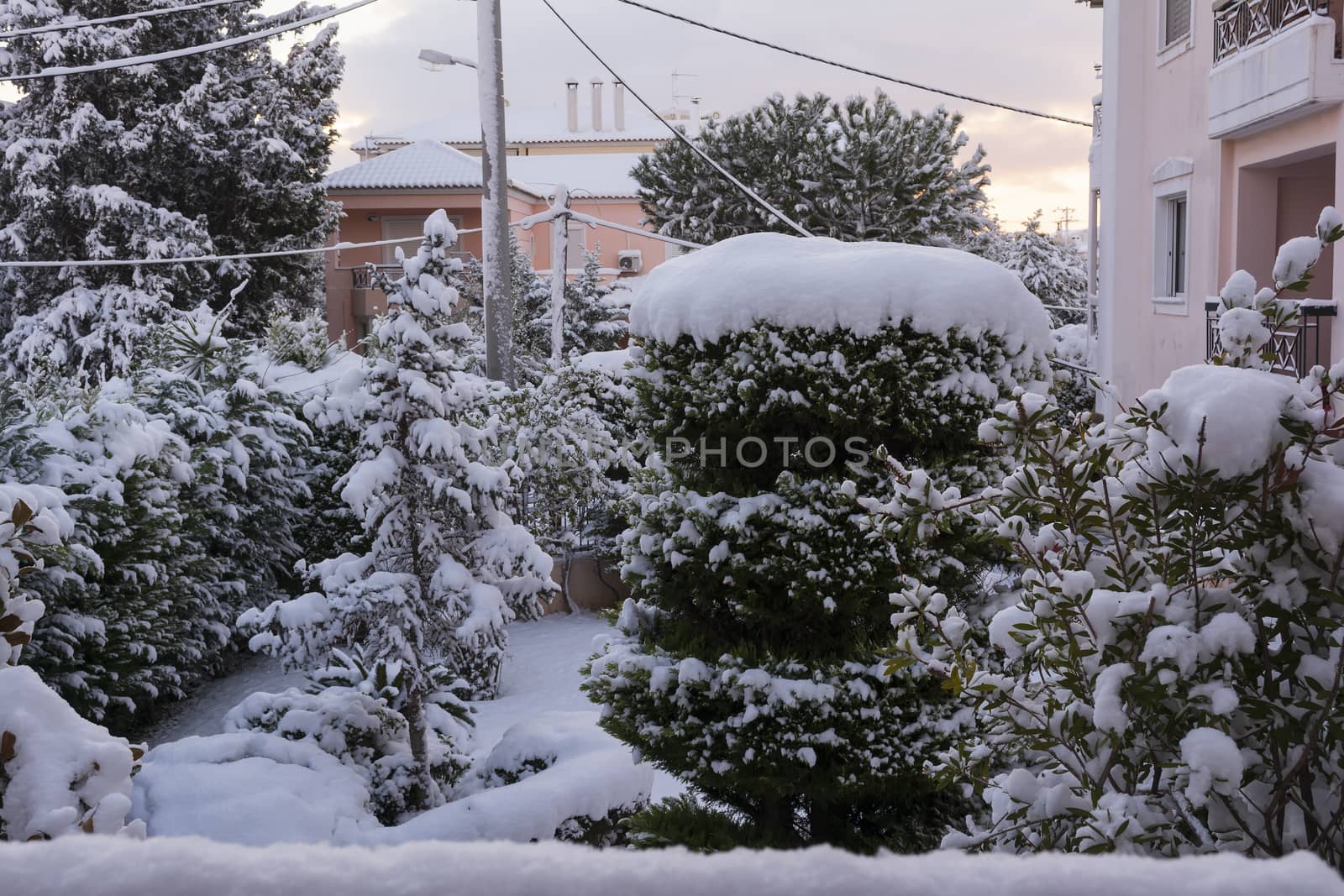 Winter yard with snowed trees, Athens, Greece