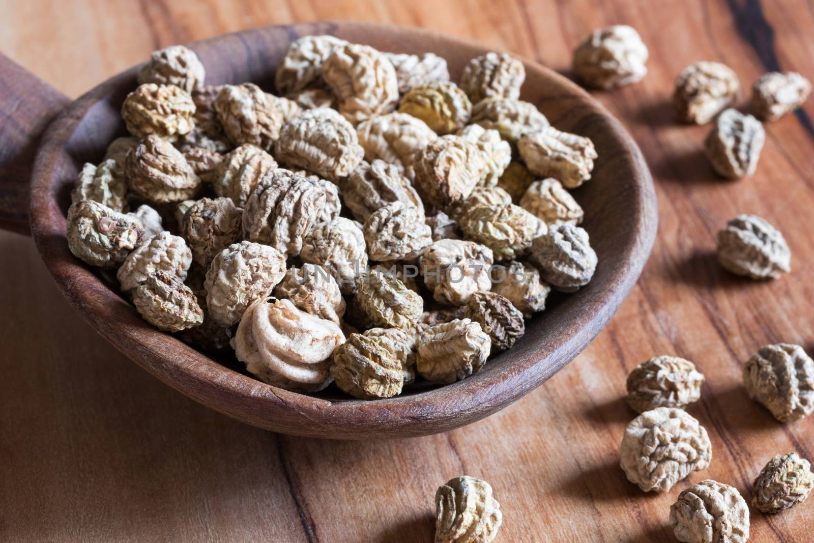 Nasturtium (Tropaeolum majus) seeds on a wooden spoon