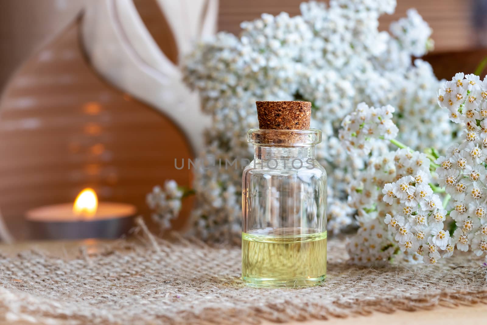 A bottle of essential oil with fresh blooming yarrow twigs