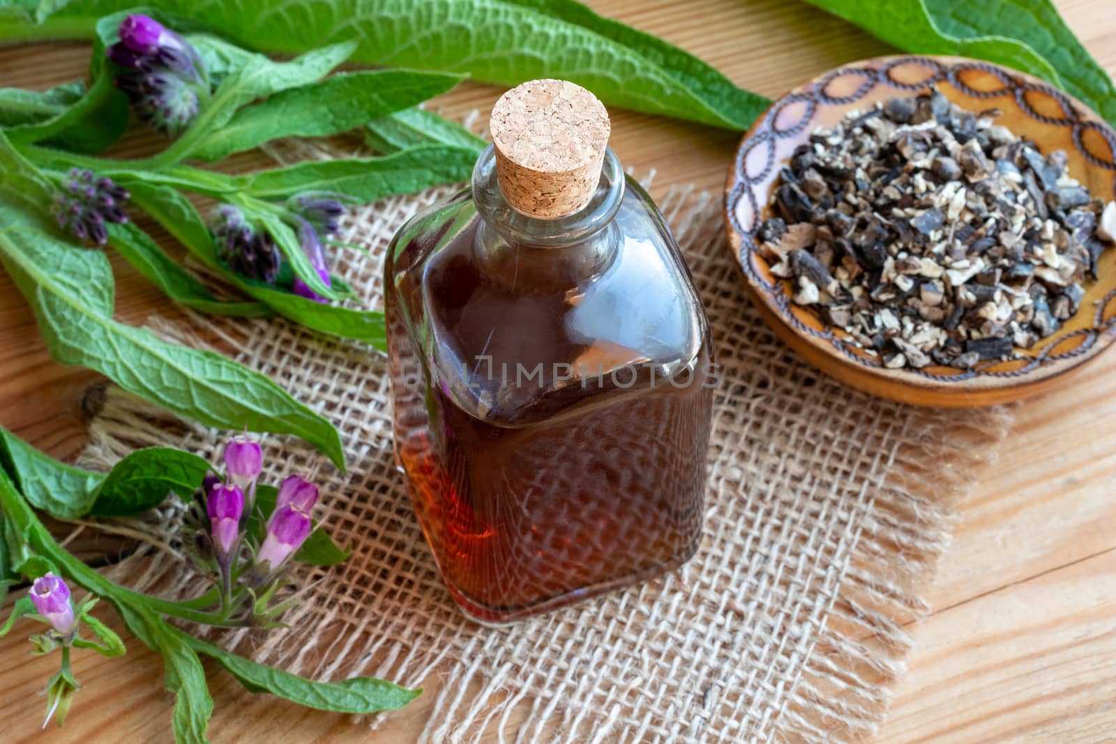 Comfrey tincture with dried root and fresh plant