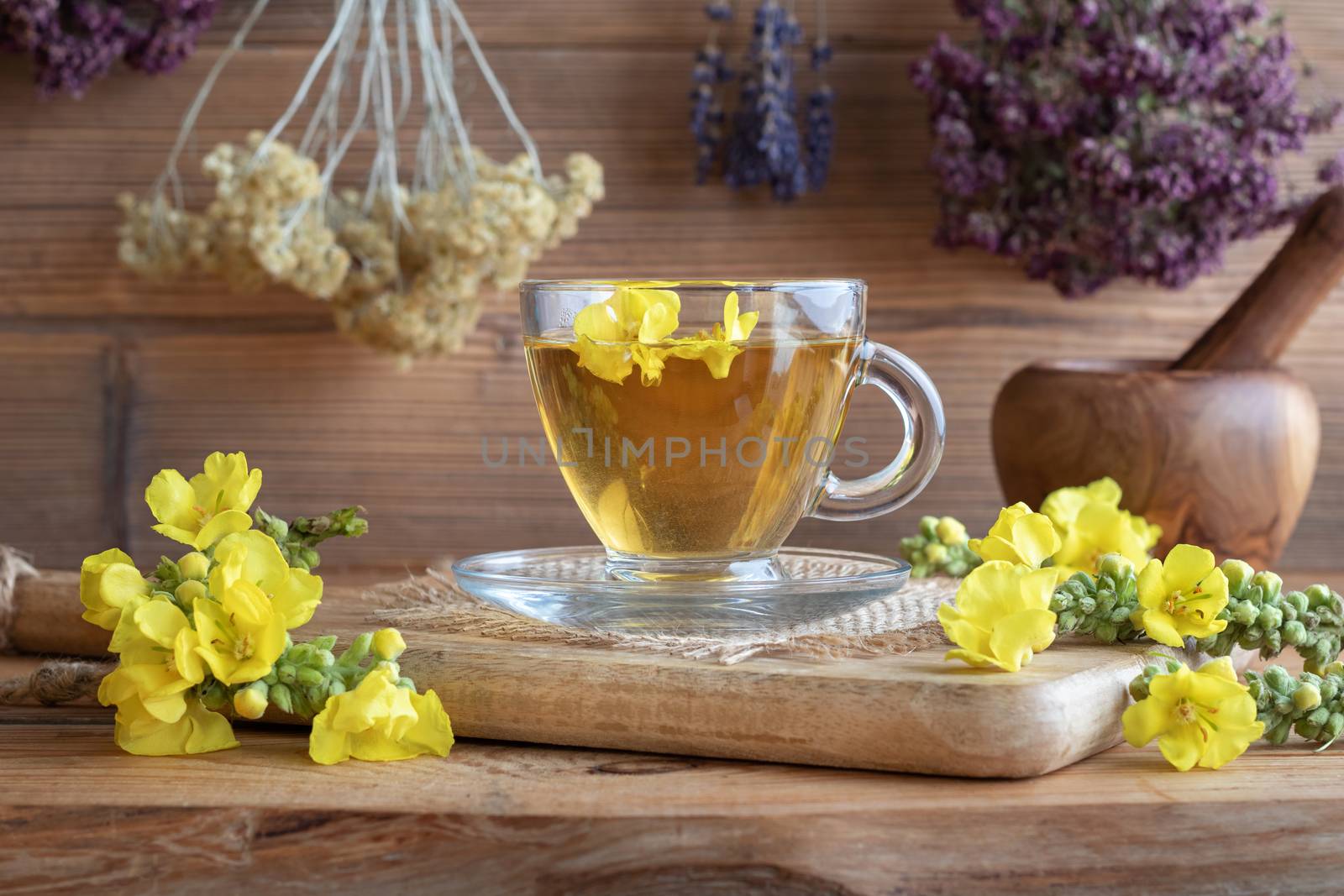 A cup of herbal tea with fresh mullein flowers