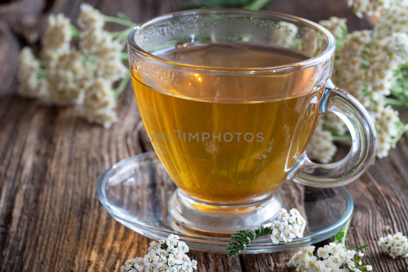 A cup of herbal tea with fresh yarrow flowers