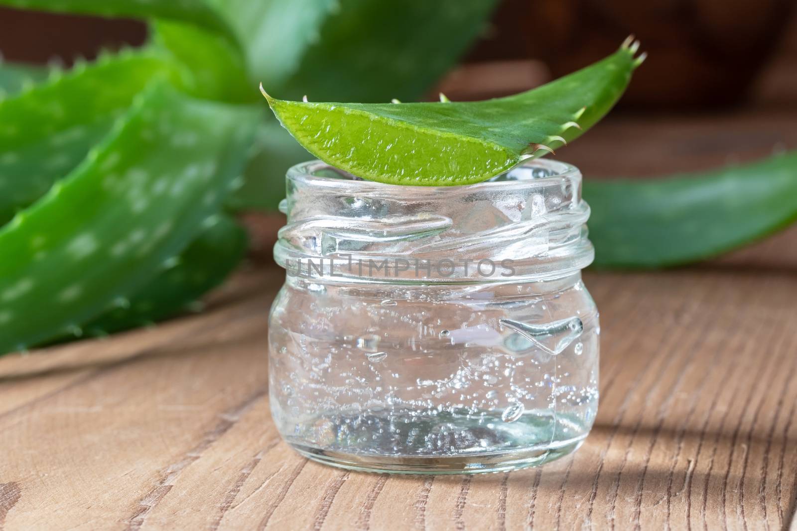 Aloe vera gel in a glass jar with fresh leaf