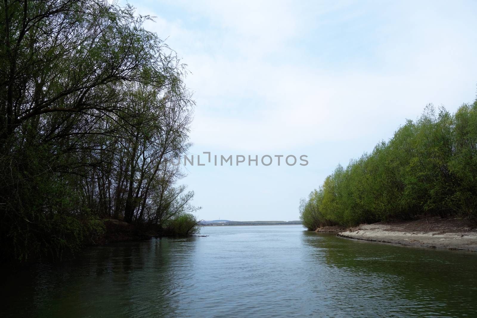 The spring season arrived on the islands and arms of the Danube river
Wildlife, willows forests and poplar forests, fish, birds and boars, the whole nature enjoys the green season.